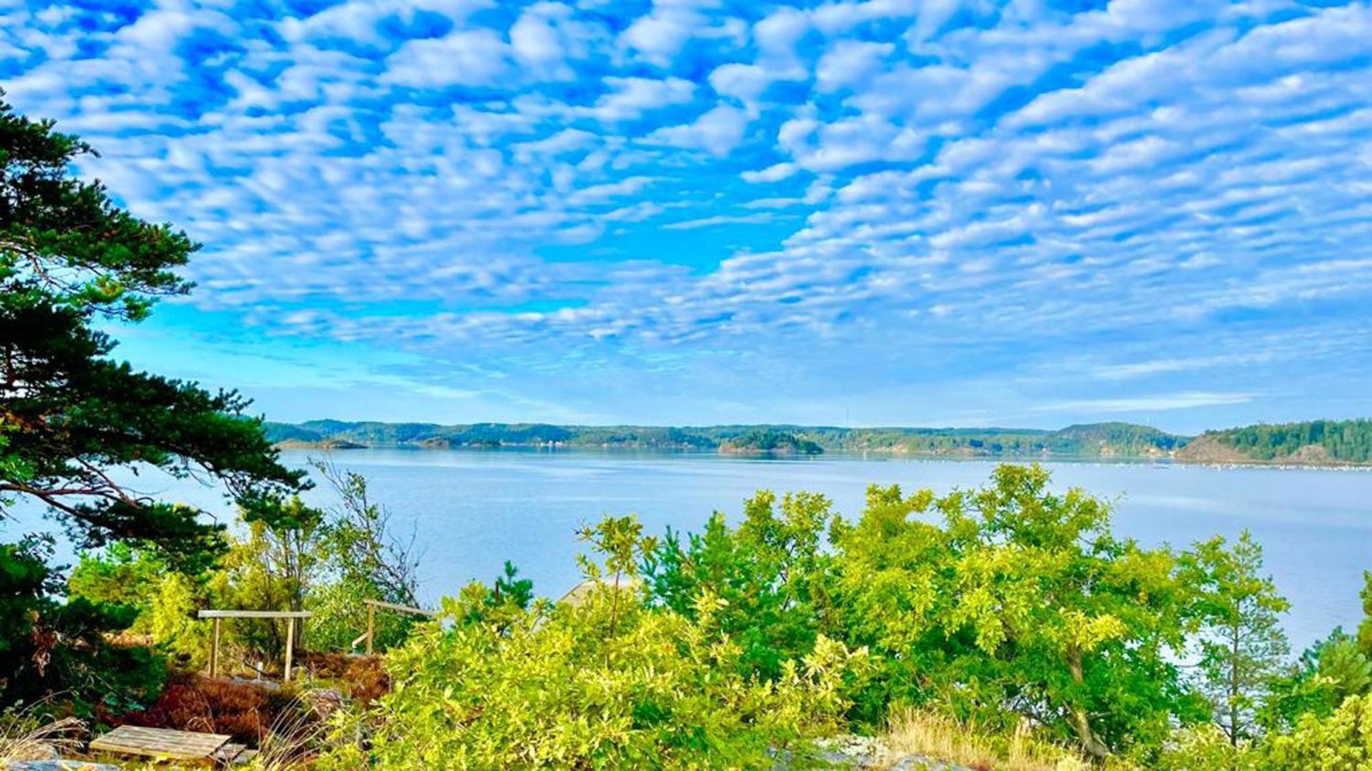 Seaside Dream With Jetty & Guest Cottage Люнгскіле Екстер'єр фото